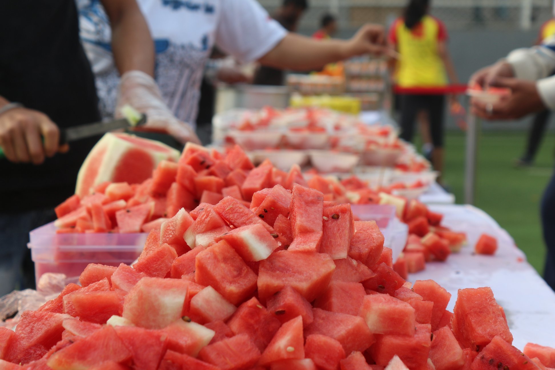 Food & Refreshments 4