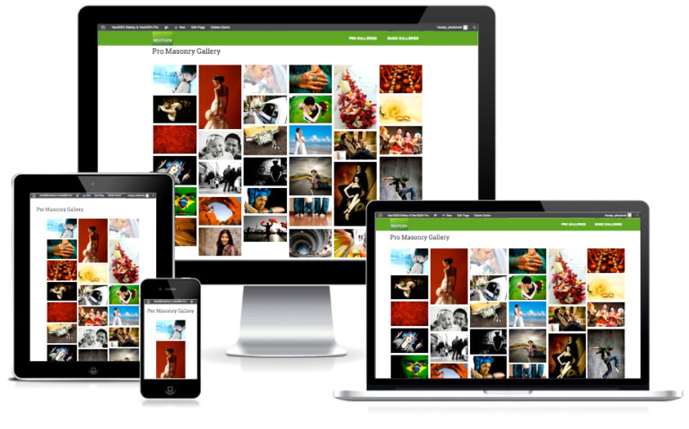 Image Gallery